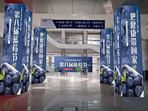 旅行攻略分类